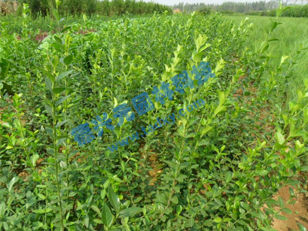 �c(di��n)���鿴Ԕ��(x��)��Ϣ��(bi��o)�}�����~������ ��x�Δ�(sh��)��2840